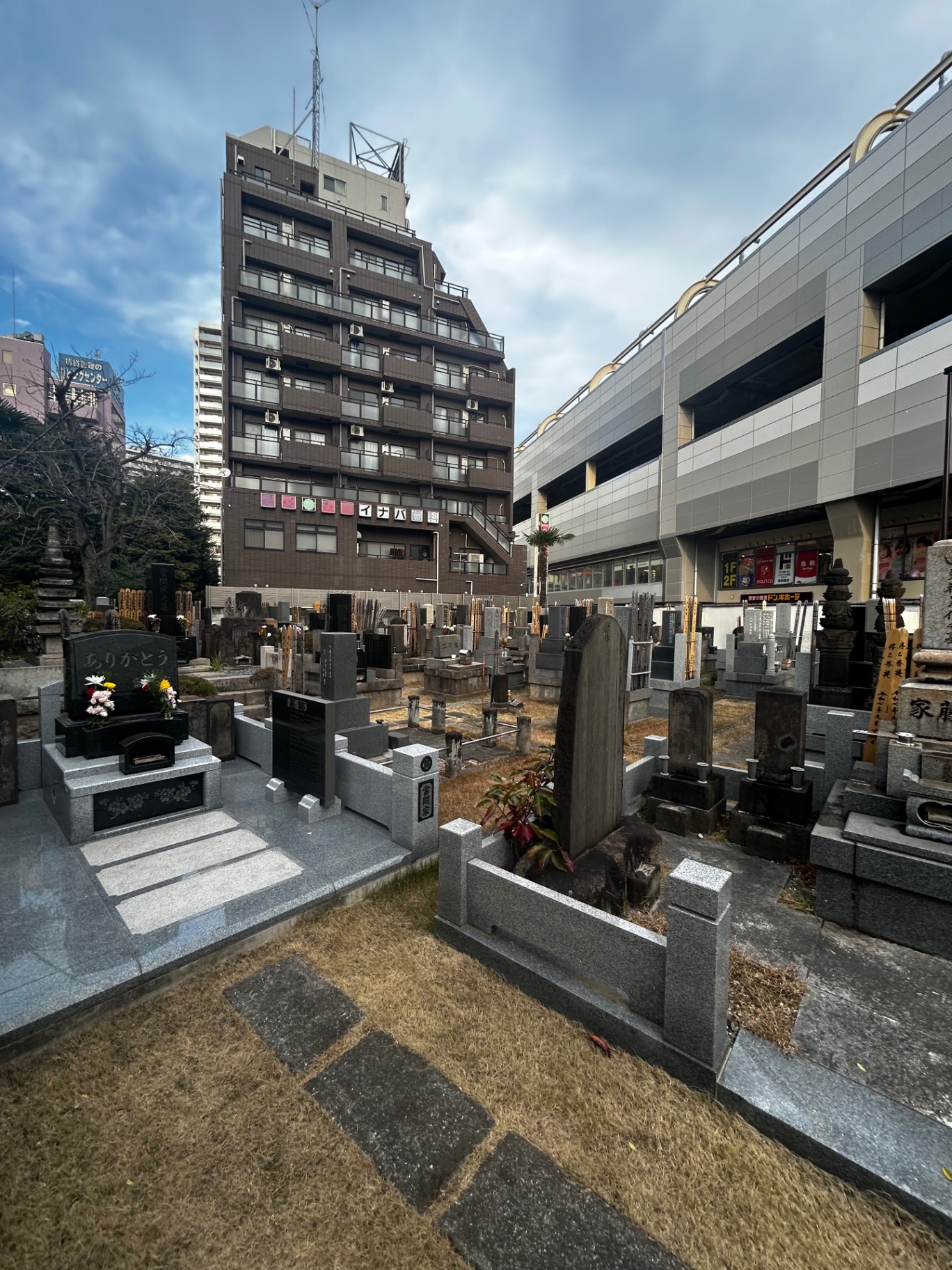 Tokyo cemetery with stone graves backed by modern buildings