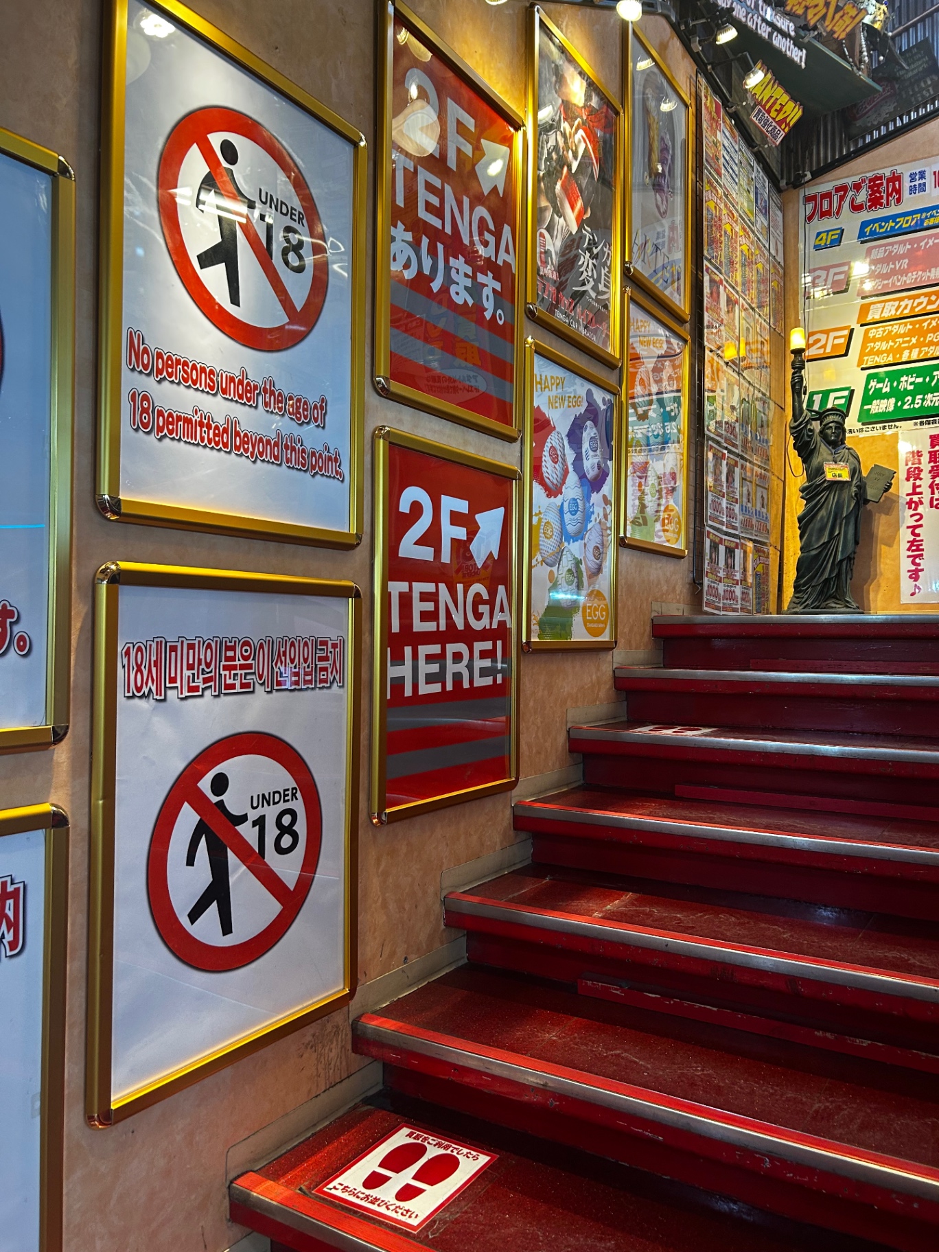 Neon staircase in an Akihabara shop
