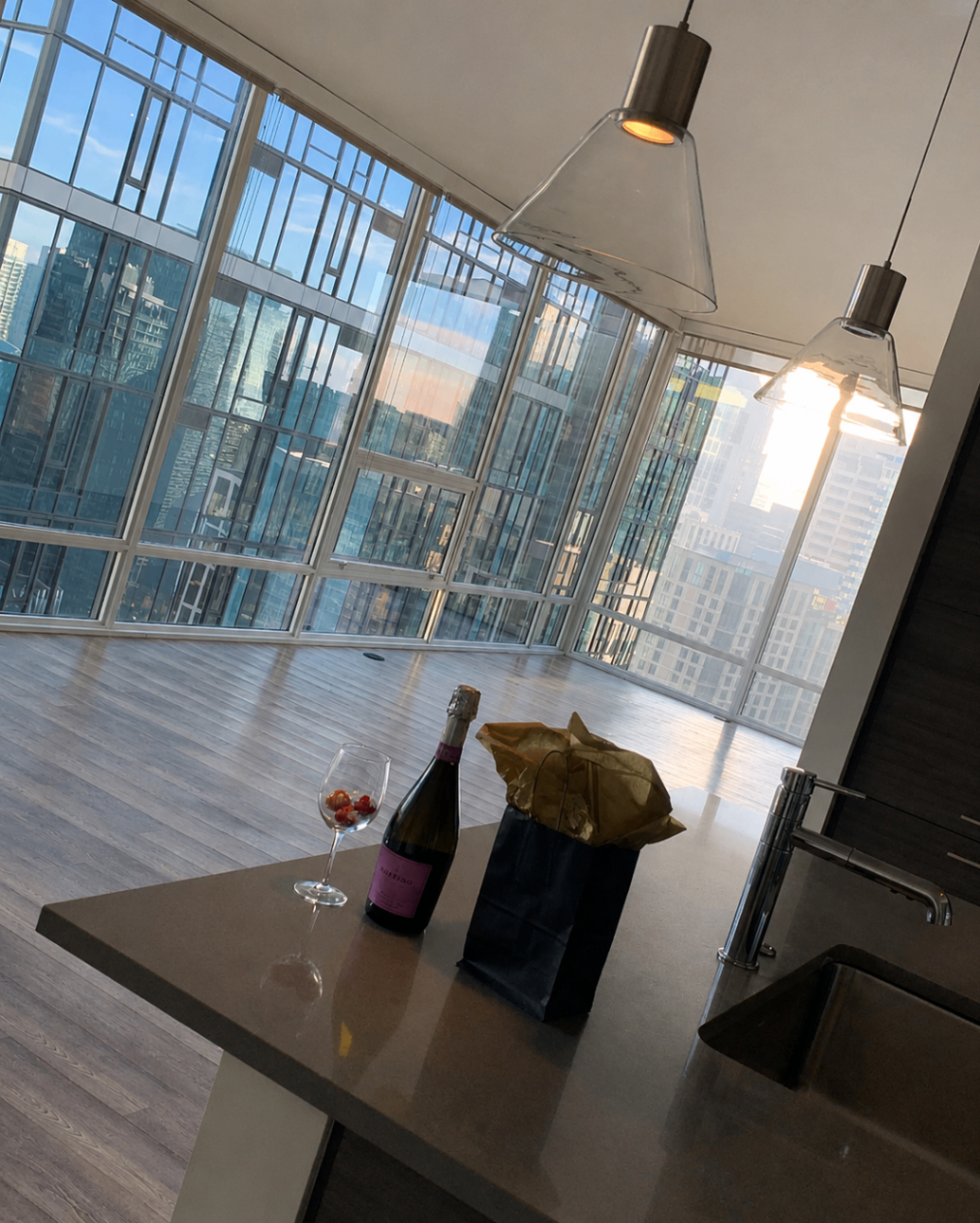Downtown Seattle penthouse view