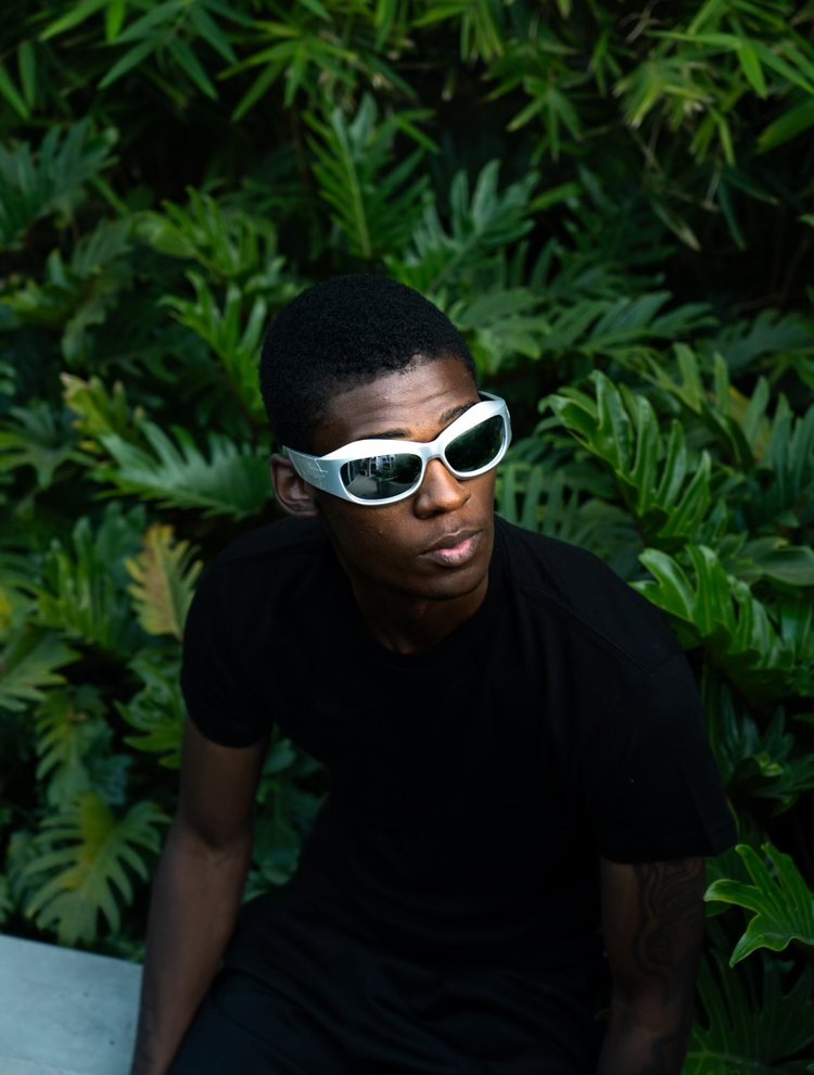 Foliage portrait, silver shades